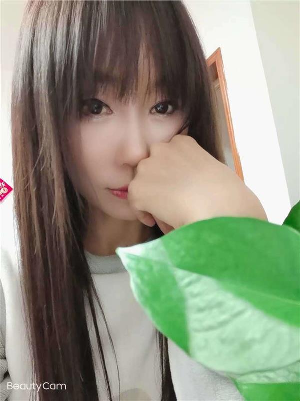 河东雪莲桥叶子