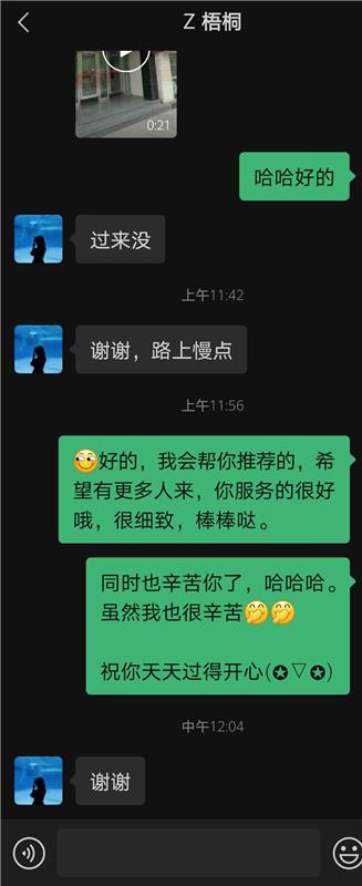 普陀区春天和“梧桐”缠绵